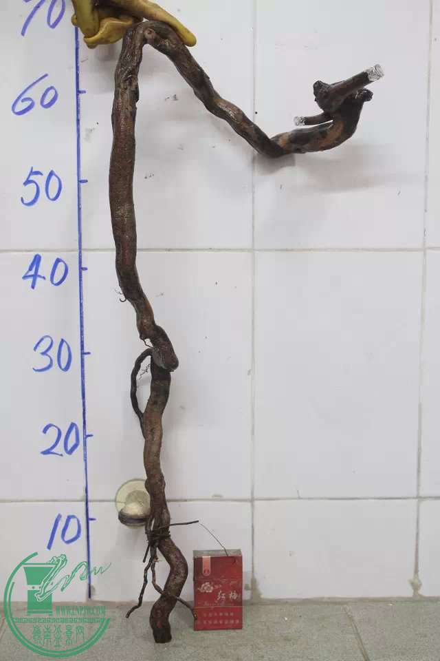 psb (10).jpg
