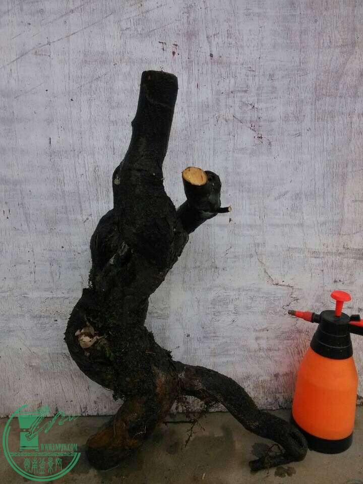 18.jpg