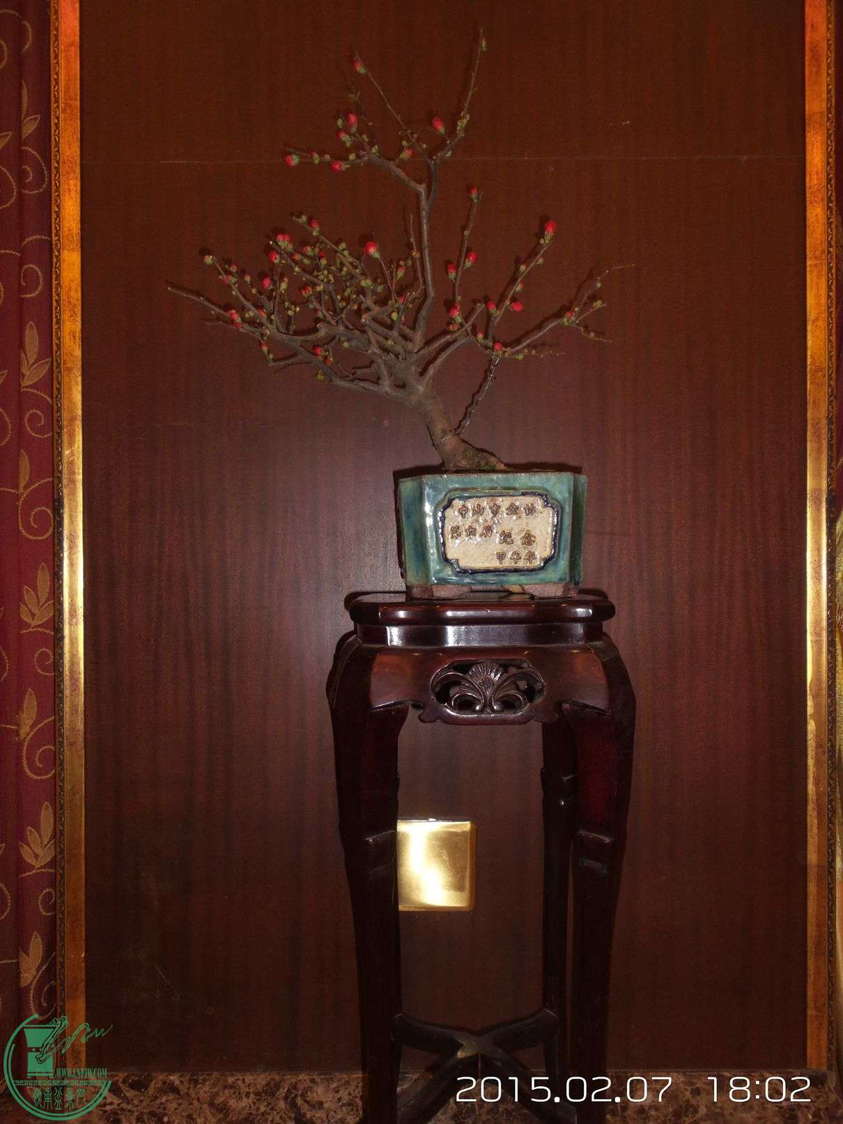 20150207_180209.jpg