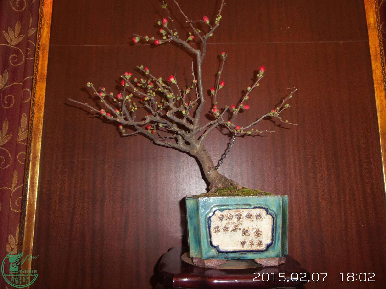 20150207_180217.jpg