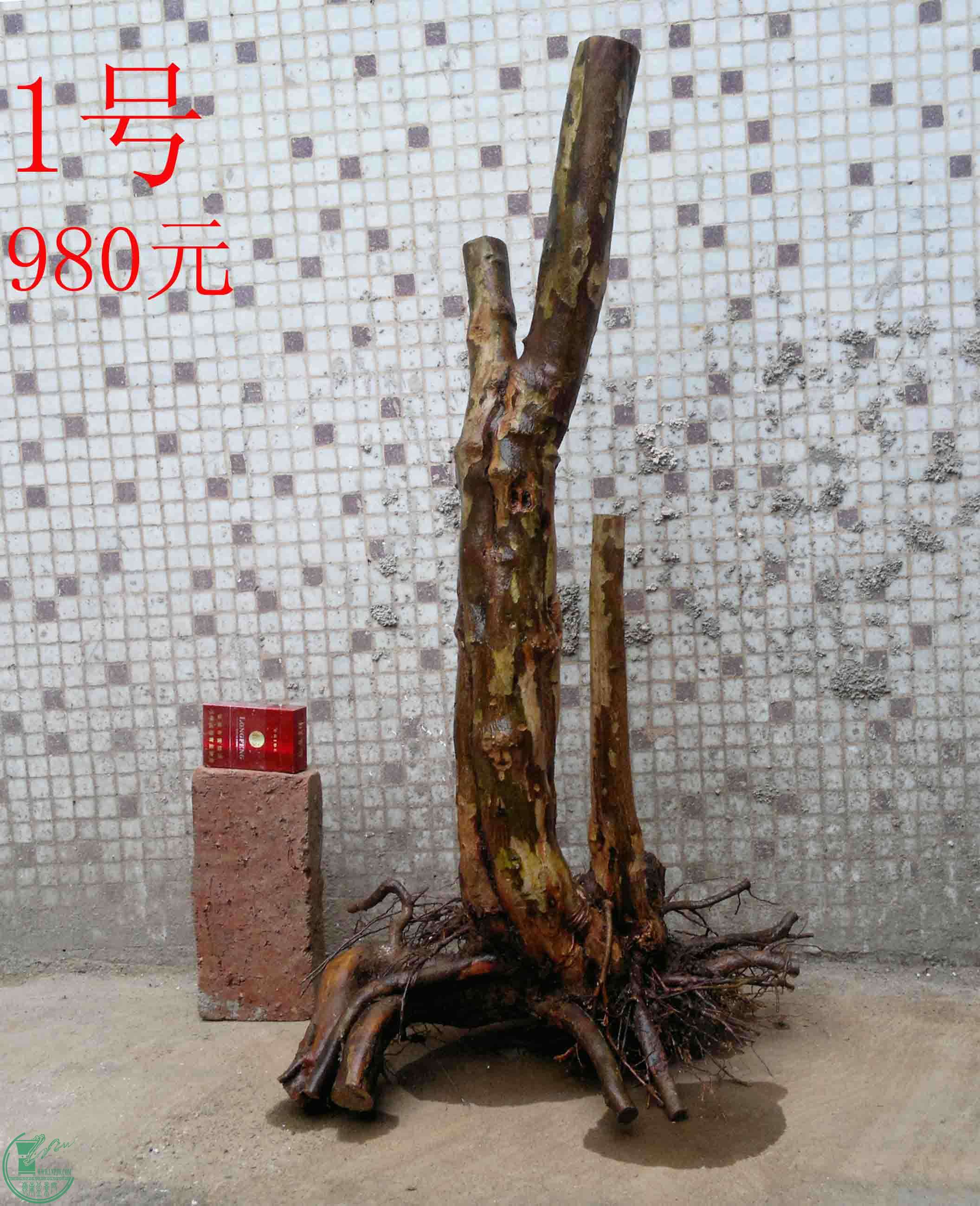 201502082002.jpg
