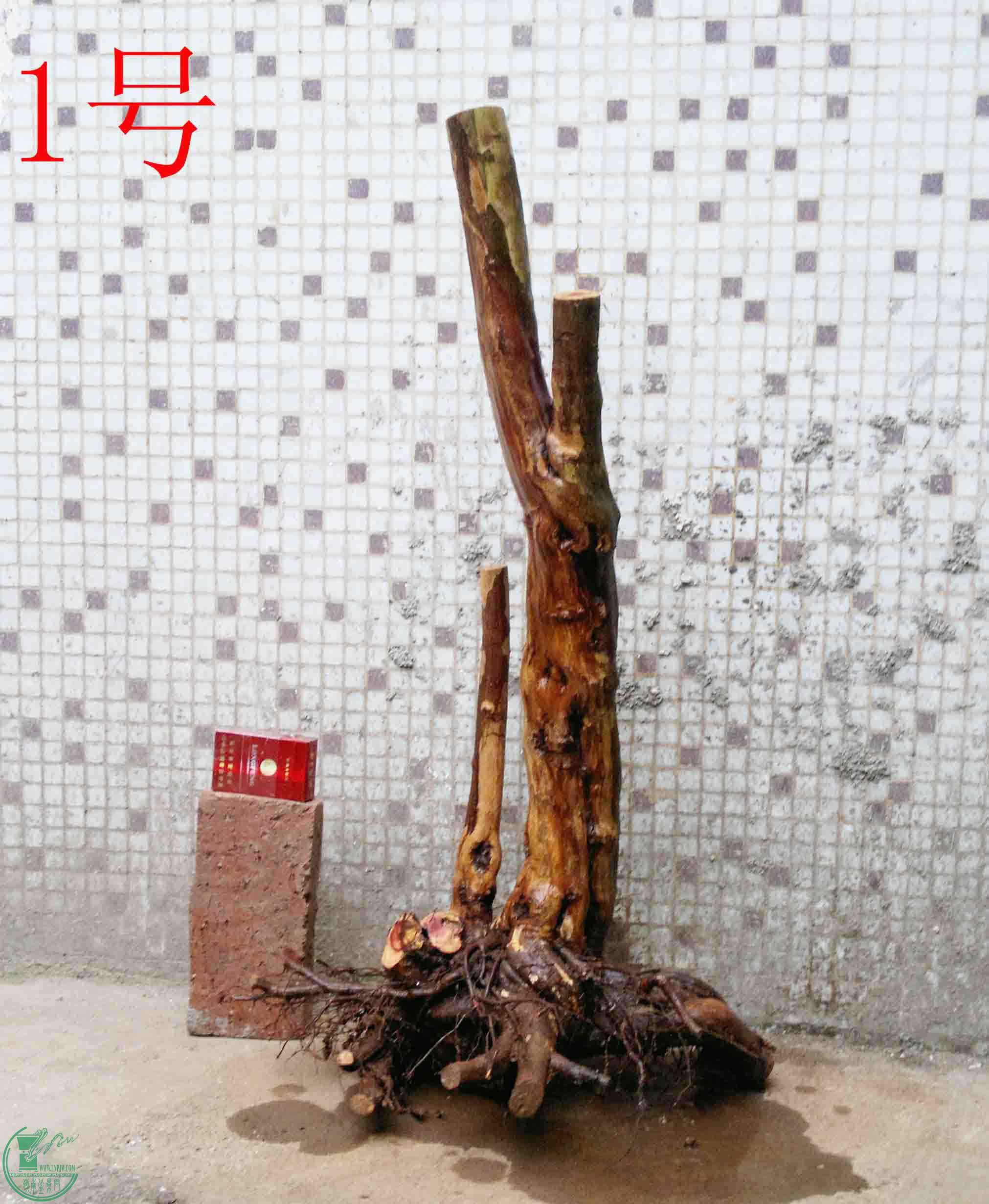 201502082021.jpg