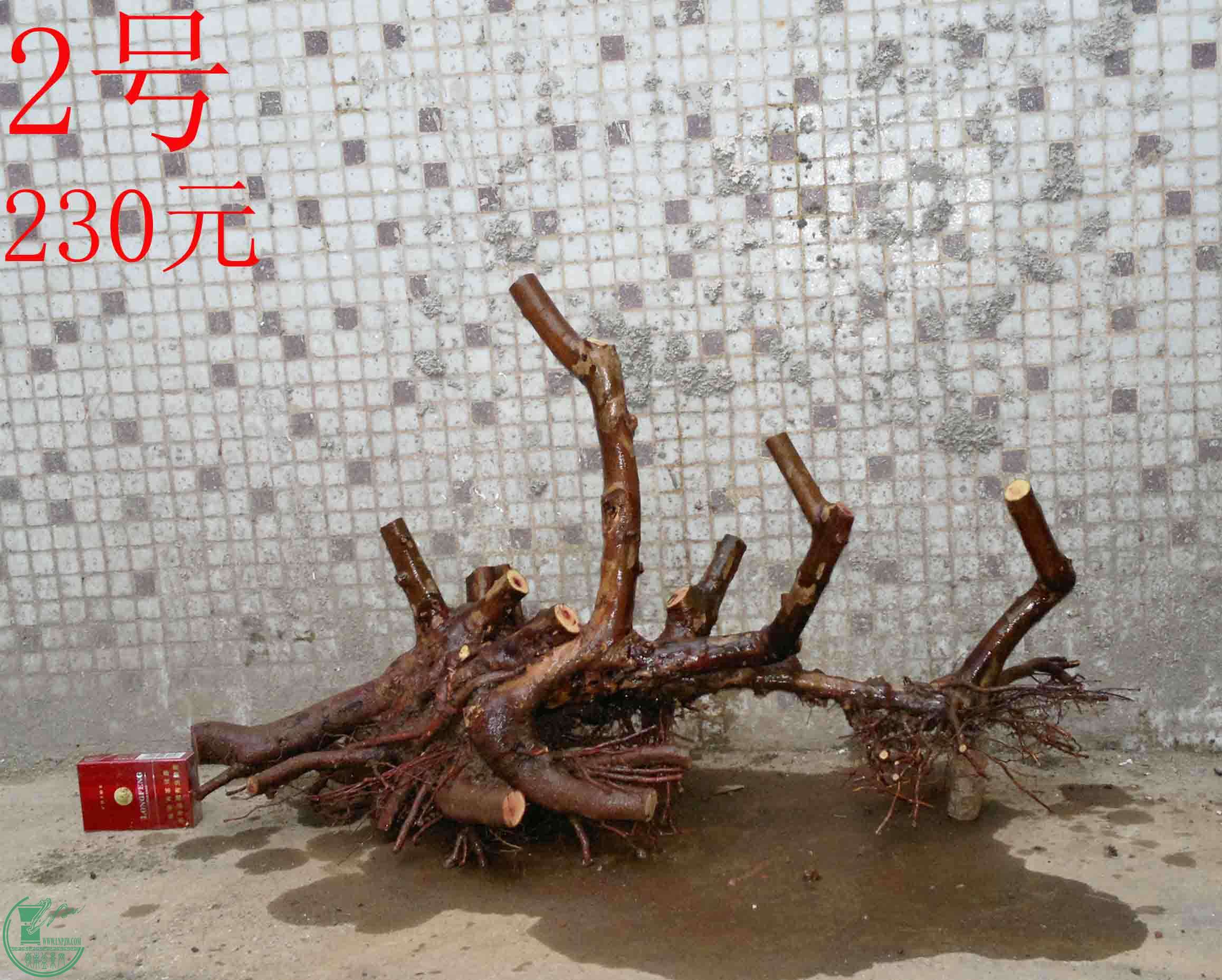 201502082027.jpg