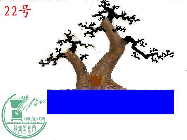 ͼDSCN25091.JPG