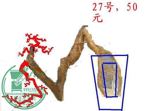 ͼDSCN3908.JPG