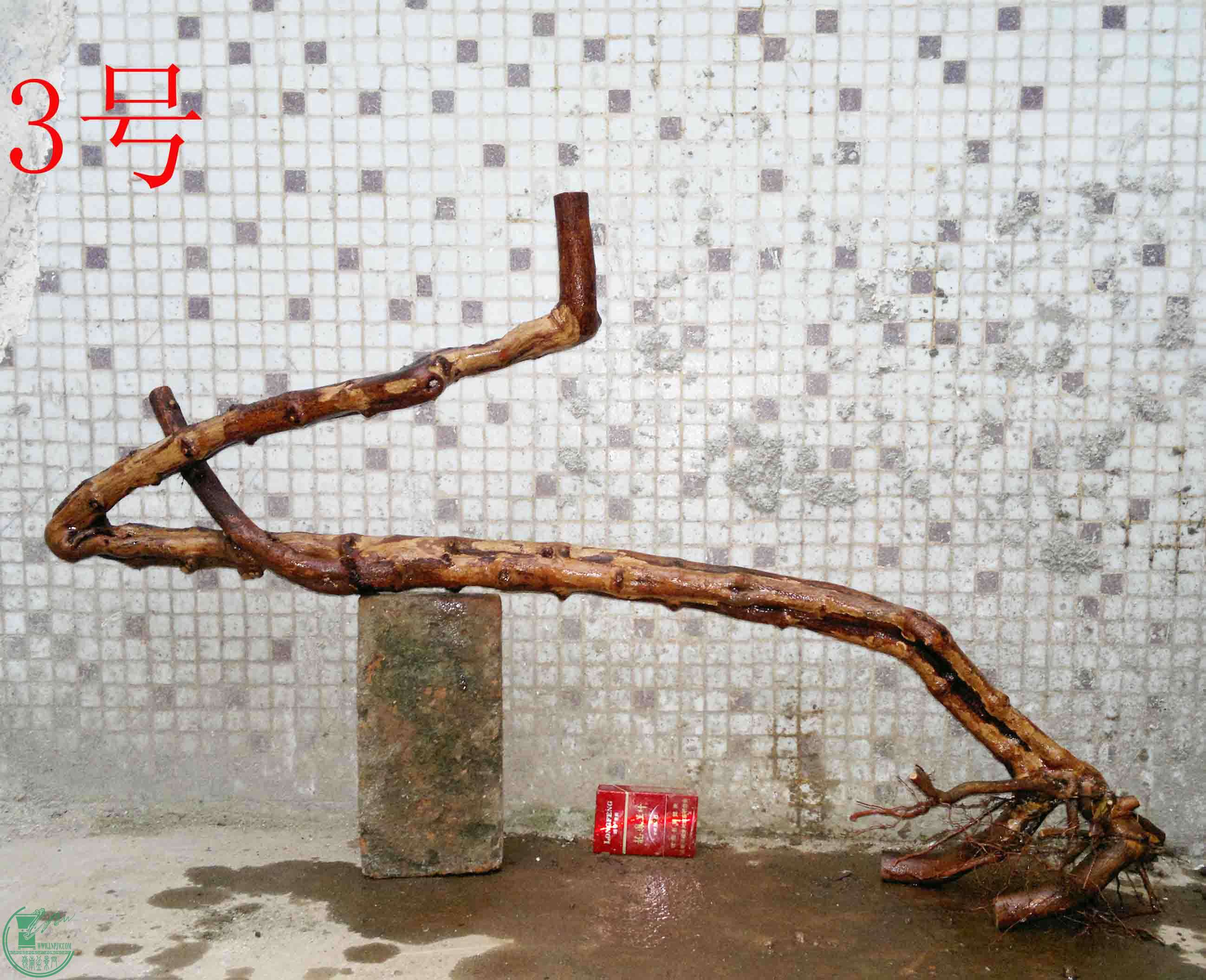 201502082040.jpg