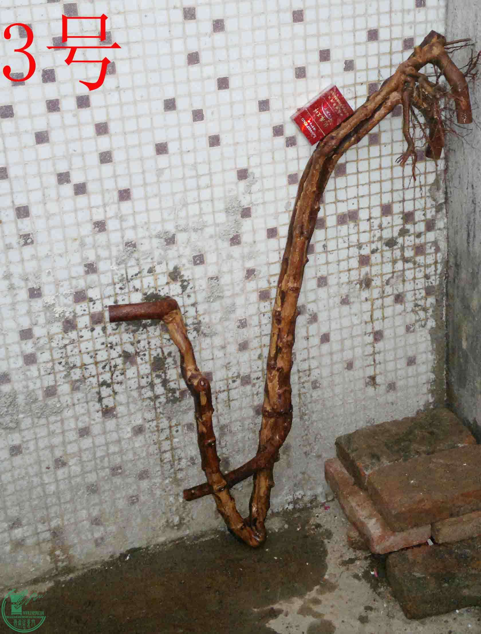 201502082063.jpg