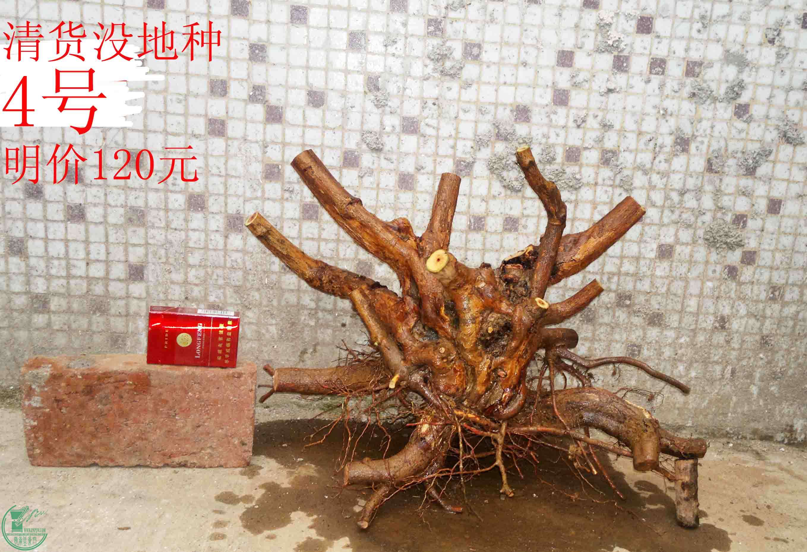 201502051927.jpg