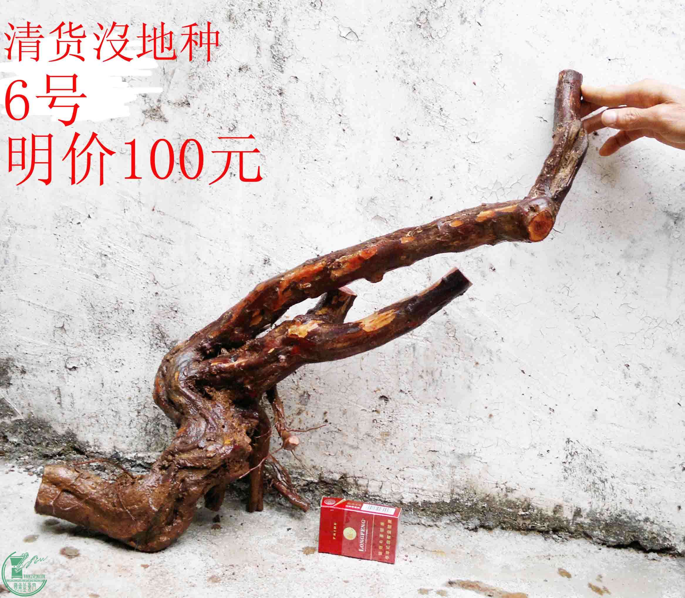 201502071949.jpg