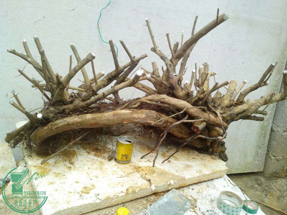 QQͼƬ20150209211700.jpg