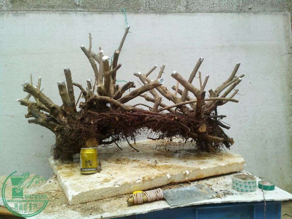 QQͼƬ20150209211653.jpg