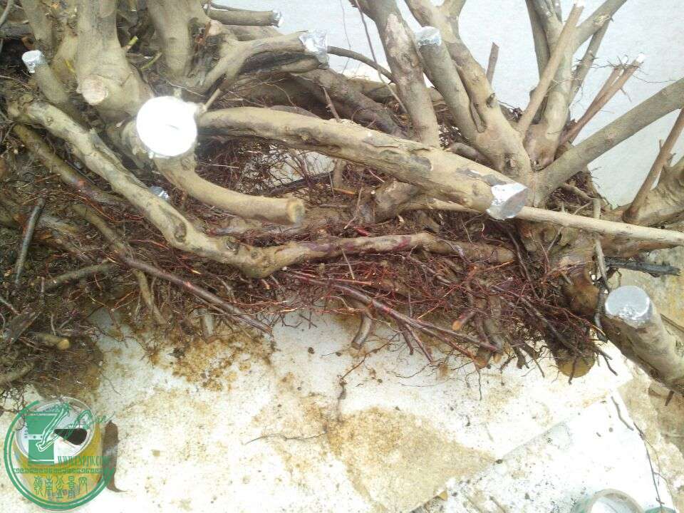 QQͼƬ20150209211647.jpg