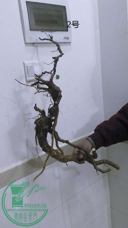 QQͼƬ20150210221529.jpg