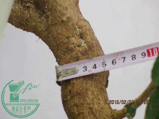 IMG_5456.JPG