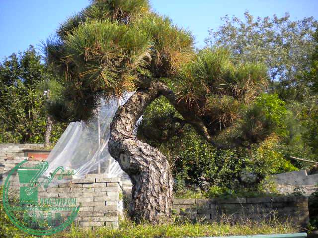 DSCN7540.JPG