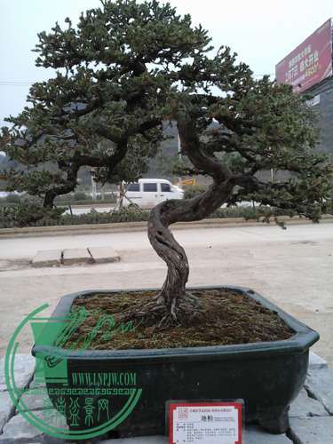 20150213_090248.jpg