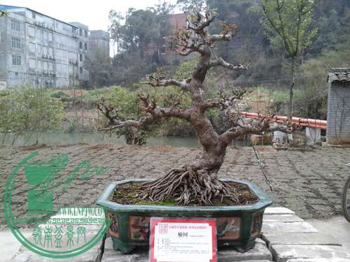 20150213_091054.jpg