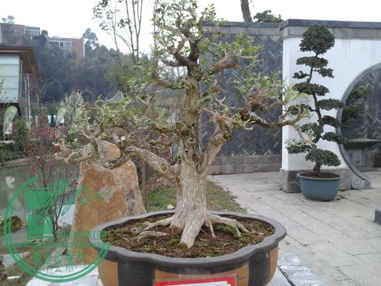 20150213_091622.jpg