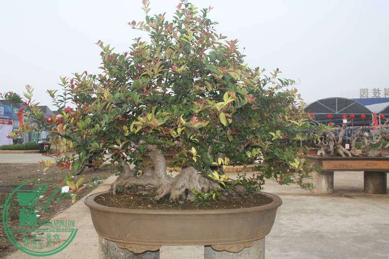 Ƭ20131026ۺ 2559.jpg
