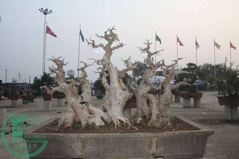 Ƭ20131026ۺ 2592.jpg
