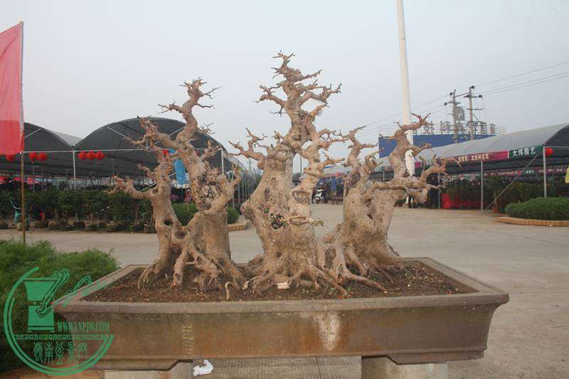 Ƭ20131026ۺ 2593.jpg