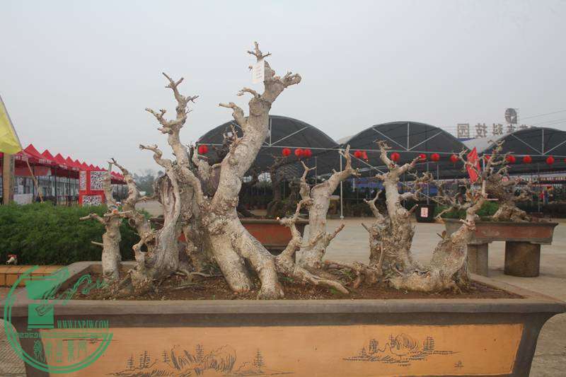 Ƭ20131026ۺ 2562.jpg