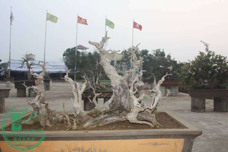Ƭ20131026ۺ 2600.jpg