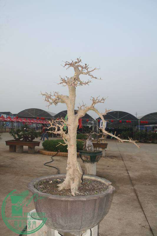 Ƭ20131026ۺ 2583.jpg