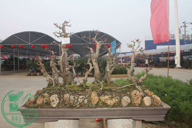 Ƭ20131026ۺ 2589.jpg