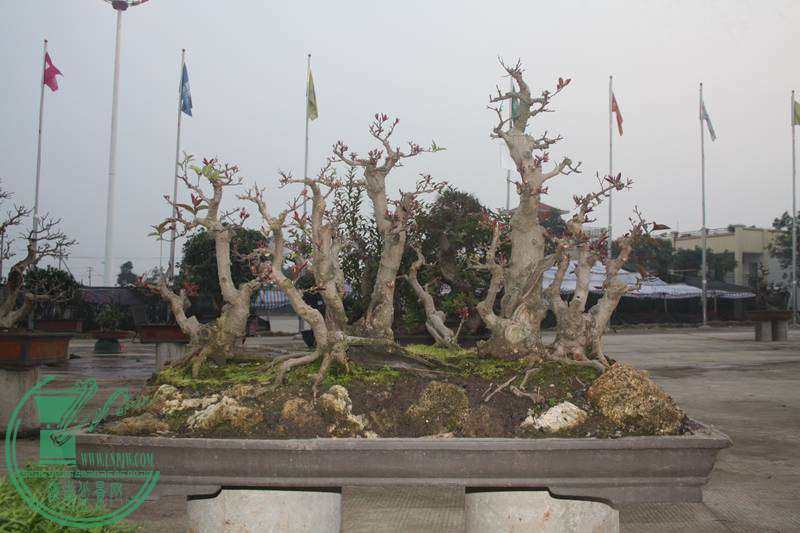 Ƭ20131026ۺ 2630.jpg