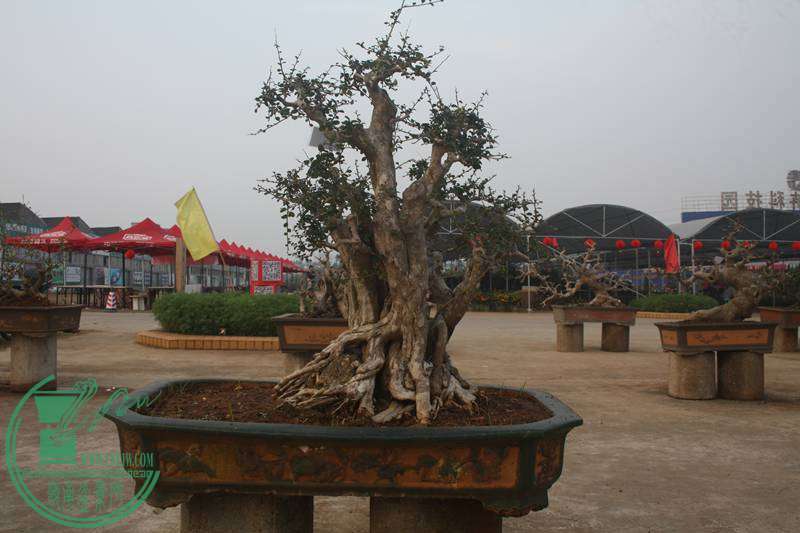 Ƭ20131026ۺ 2563.jpg