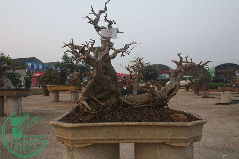 Ƭ20131026ۺ 2575.jpg