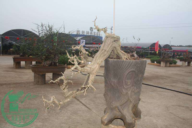 Ƭ20131026ۺ 2618.jpg