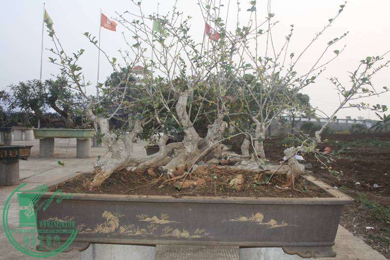 Ƭ20131026ۺ 2556.jpg