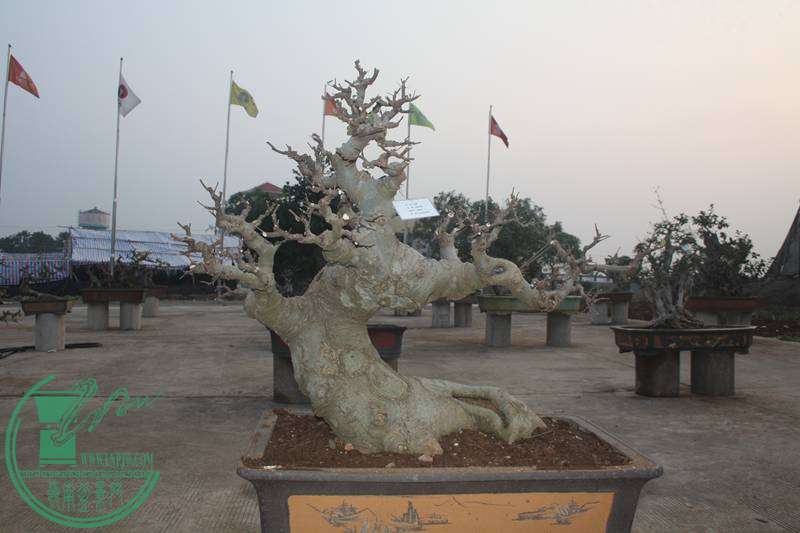 Ƭ20131026ۺ 2577.jpg