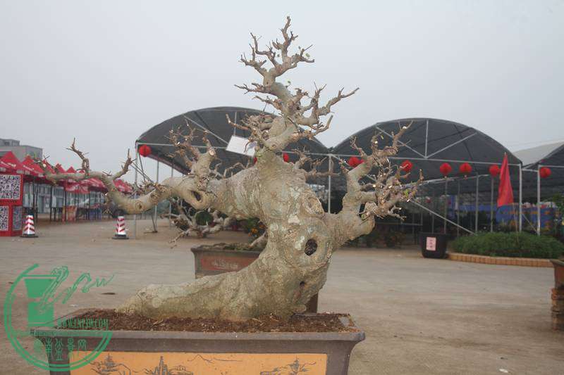 Ƭ20131026ۺ 2611.jpg