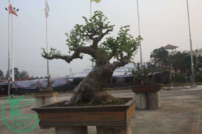 Ƭ20131026ۺ 2569.jpg