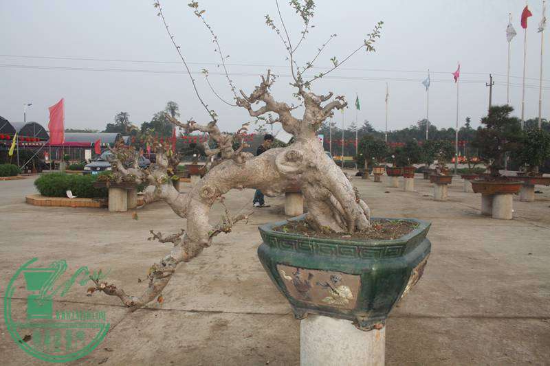 Ƭ20131026ۺ 2579.jpg