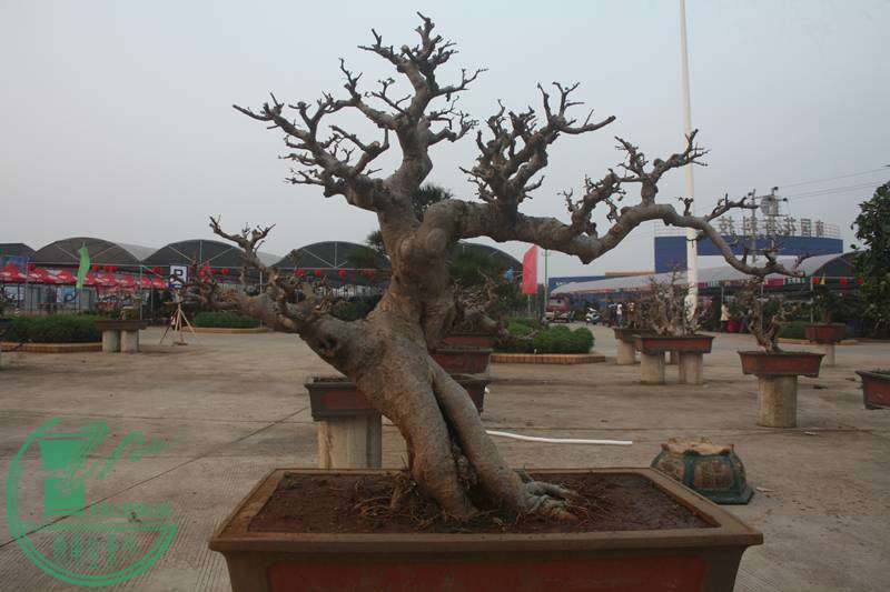 Ƭ20131026ۺ 2587.jpg