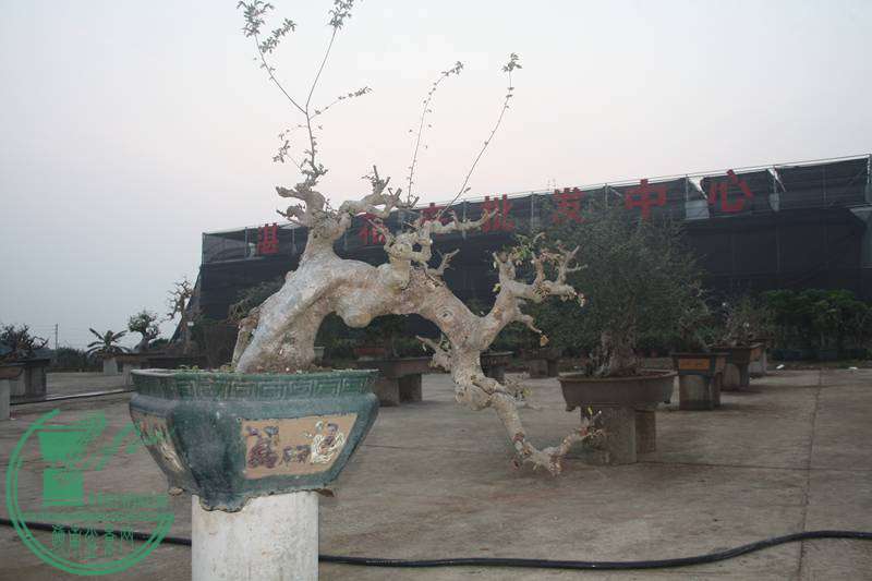 Ƭ20131026ۺ 2637.jpg