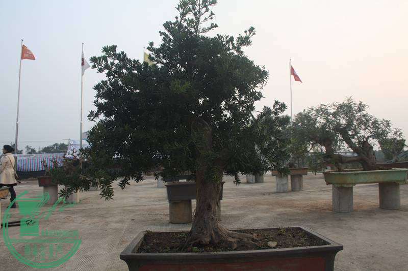 Ƭ20131026ۺ 2572.jpg