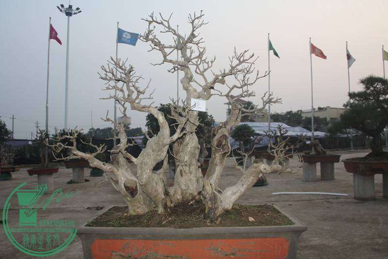 Ƭ20131026ۺ 2591.jpg
