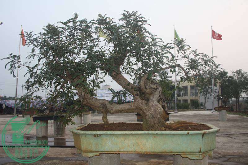 Ƭ20131026ۺ 2614.jpg