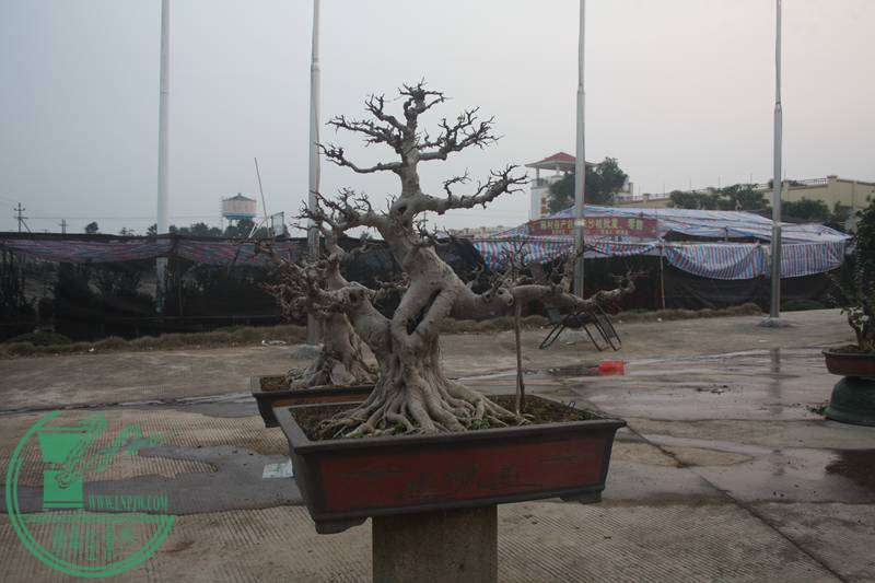 Ƭ20131026ۺ 2624.jpg