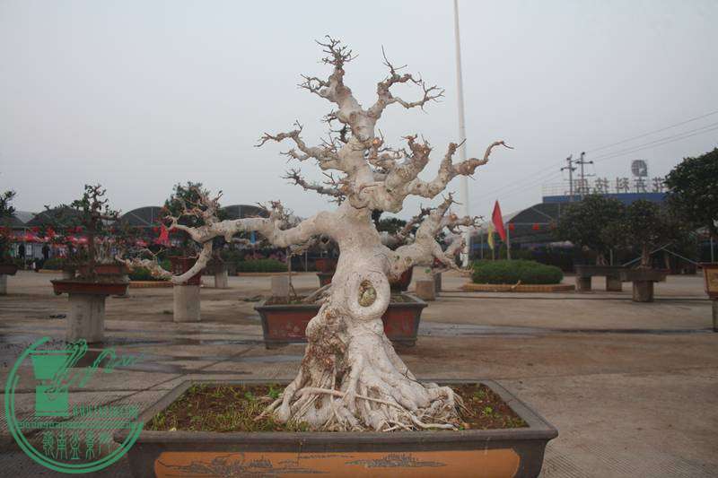 Ƭ20131026ۺ 2635.jpg