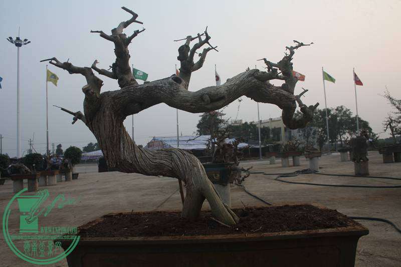 Ƭ20131026ۺ 2580.jpg