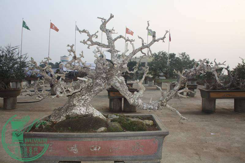 Ƭ20131026ۺ 2554.jpg