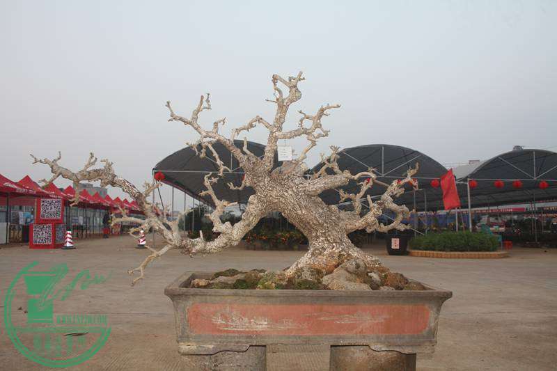 Ƭ20131026ۺ 2603.jpg