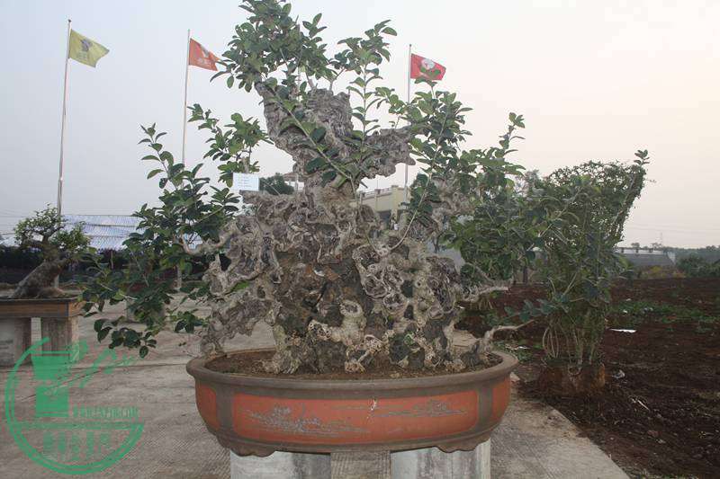 Ƭ20131026ۺ 2558.jpg
