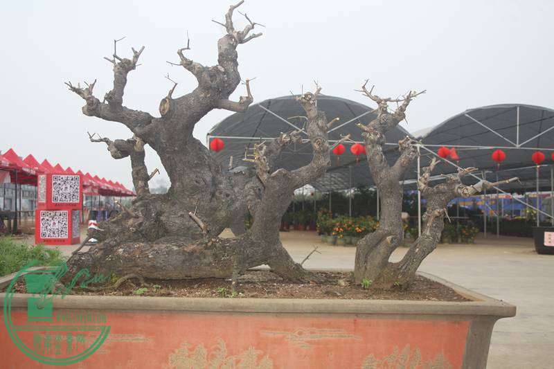 Ƭ20131026ۺ 2561.jpg